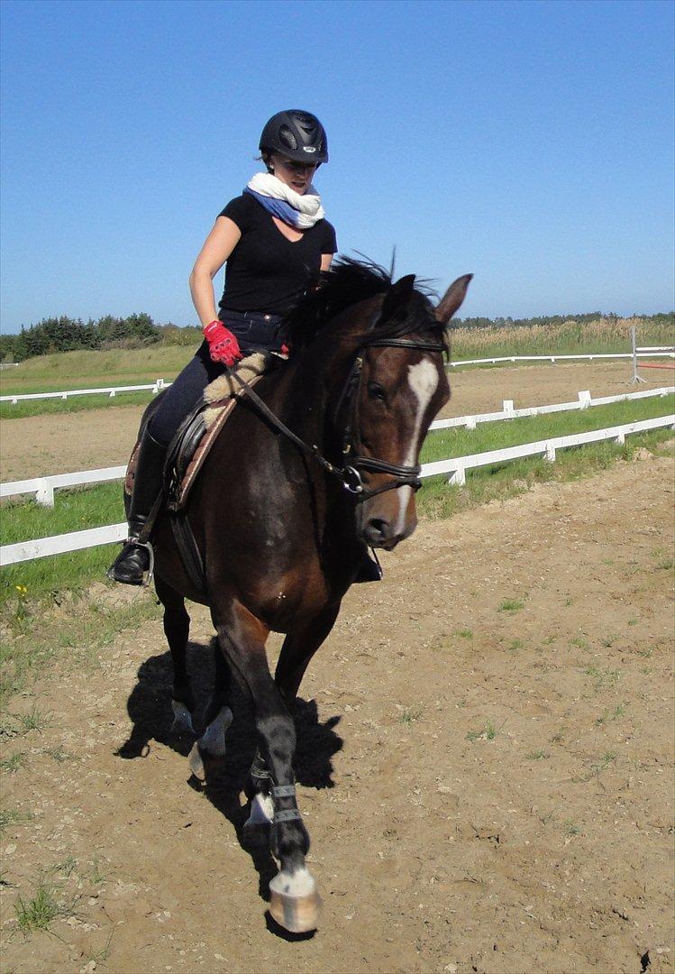 Anden særlig race A'strix - Træning i august :) billede 6