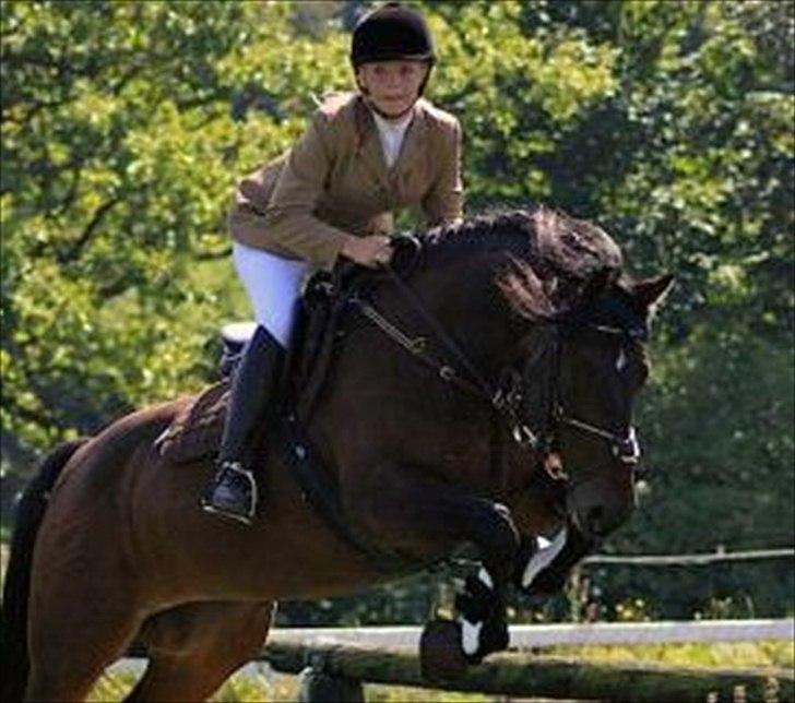 Oldenborg Malic Lilholm R.I.P - Til vores første military stævne :D billede 5