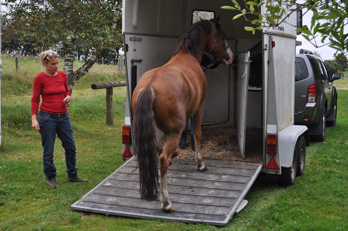 Anden særlig race Cornelius Junior  - Da han kom hjem!:) billede 4