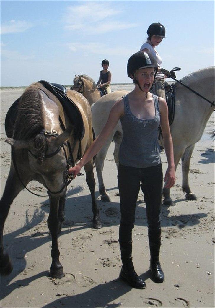 Islænder Olina - Da vi styrede i vandet på ridelejr, I skal ikke tage jer af min mund, havde fået saltvand i munden... billede 18