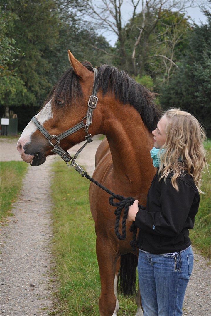 Anden særlig race Cornelius Junior  - Velkommen til Cornelius' profil:)
Han er så fin!<3 billede 1