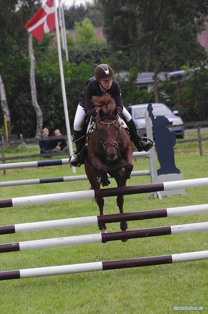 Tysk Sportspony Lindenbooms Patrizia(Amy) - MB** Distriktmesterskab D12!
Selvom du var dum Amy elsker jeg dig stadig :* <3
Foto: Sarah Wheler :D billede 1