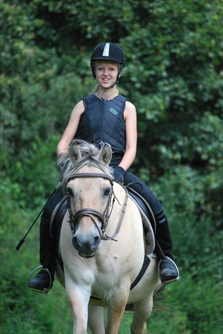 Fjordhest Raca | tidl. part | •R.I.P.• altid elsket - Du gør mig altid så glad! :'). 
//Foto: Linnea billede 4