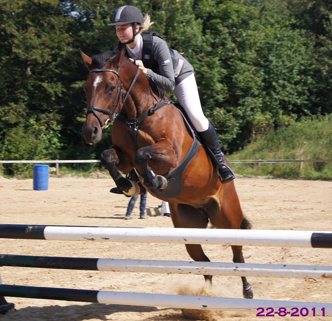 Anden særlig race Medoris  - Vi kan det hele.. Med lukkede øjne og det hele :D Foto: Jimmy (Min personlige fotograf) :) Klubmesterskab - runde 1  billede 5