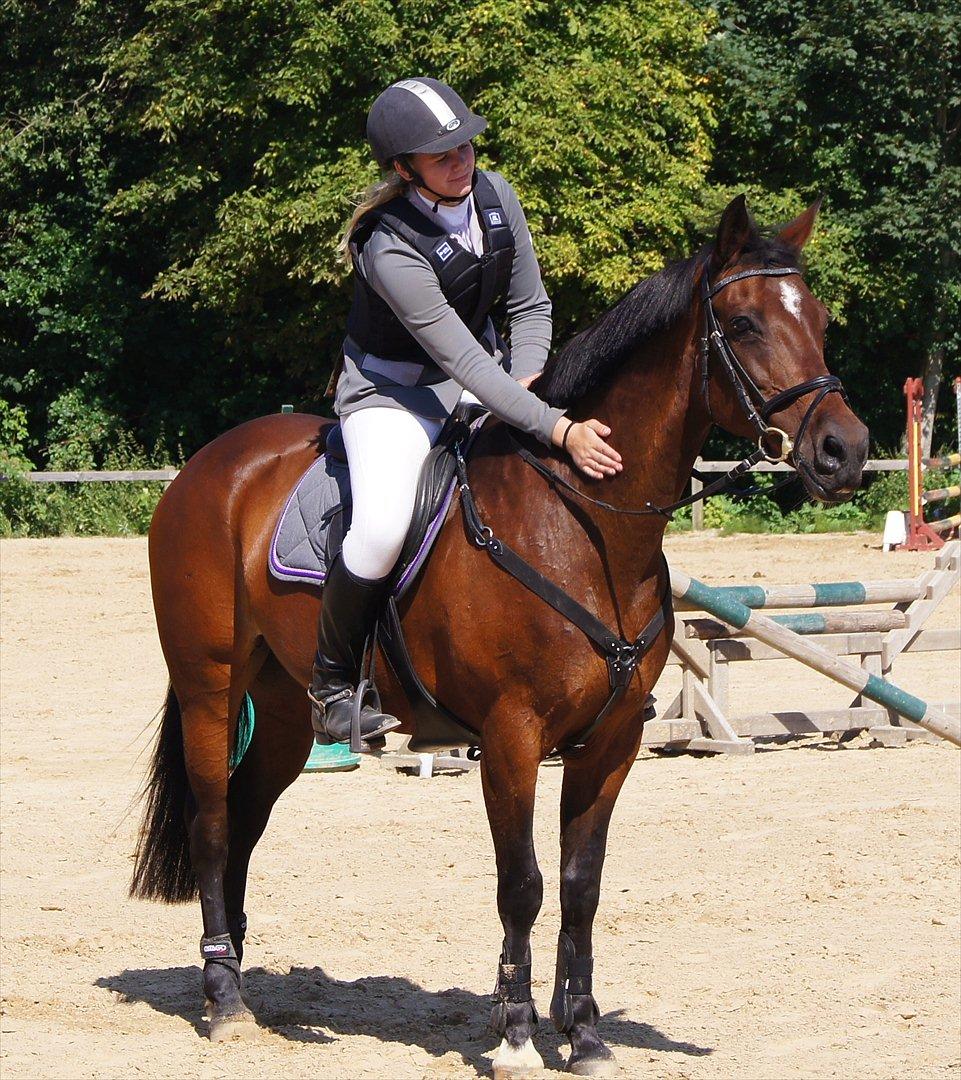 Anden særlig race Medoris  - Du er en stjerne på en springbane <3 Hvor er hun bare SMUK <3 Love you Doris (Y) Foto: Jimmy  billede 18