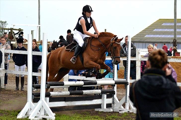 Anden særlig race Bounty <3 - stævne d. 14 august lc 3. plads :D billede 11