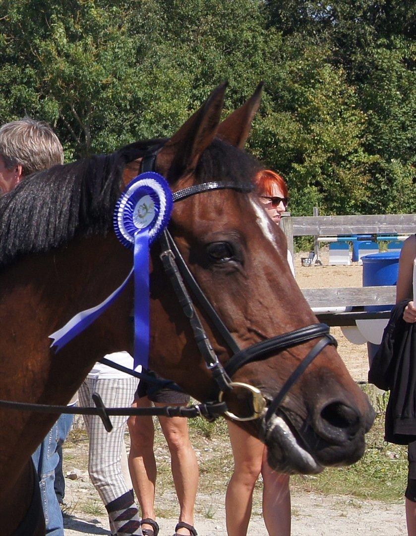 Anden særlig race Medoris  - Klubmesterskab - 2 plads .. Hun var fantastisk :D Foto: Jimmy  billede 19