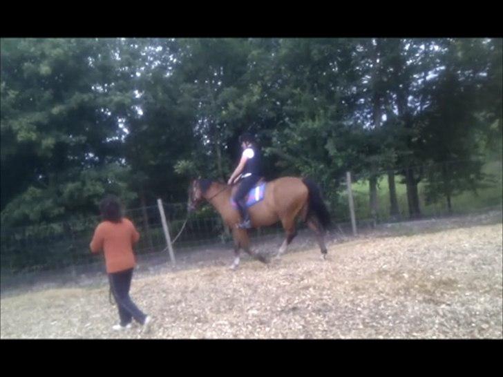 Anden særlig race Arkido billede 8