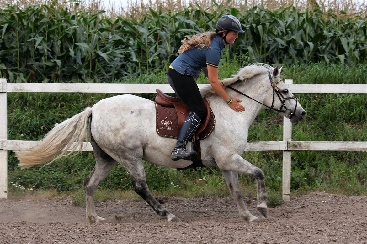 New Forest Højskovens Reja MitAlt!<3 - "den pony kan ingen ting, den er bare dum og grim!" Ja, alt det og mere til har jeg fået smit lige i hovdet men, ingen har tænkt på at det faktisk er min bedste ven!!<333333 billede 17