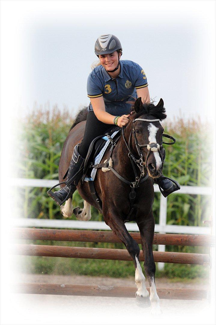 Irsk Sportspony MB Lady Star - RIP  - Tak fordi i gad at kigge forbi!
Min flyvemaskine! <33333 billede 20