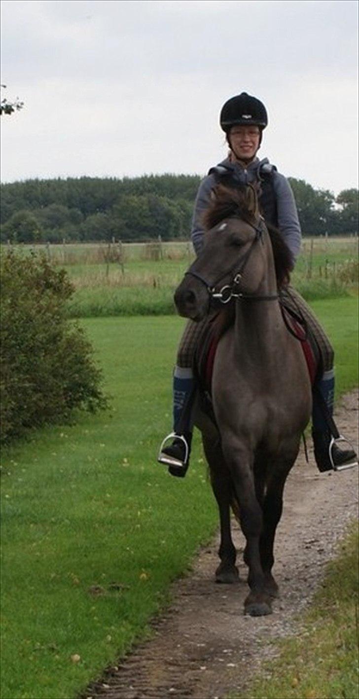 Konik Polski Carlo - Carlo på tur sammen med Luna. Tredje gang på tur ca. billede 6