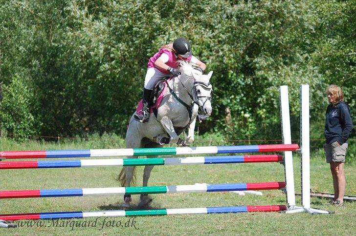 Welsh Pony (sec B) Møllegaards Sunshine - Mig og pony da vi vandt højdespringning :D vi var så gode ;) billede 16