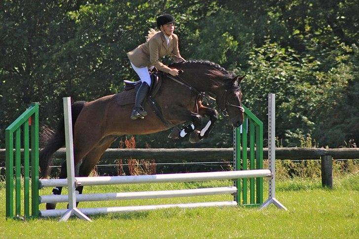 Oldenborg Malic Lilholm R.I.P - Vores første military stævne CNC70 billede 4