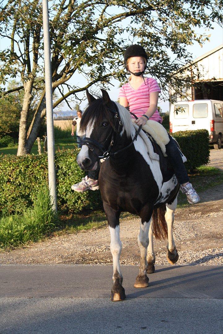 Pinto Daisy Stald Hosby - august 2011. Emma og Daisy på eventyr :) billede 12