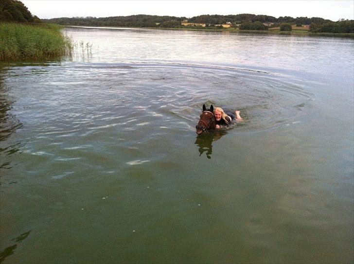 Anden særlig race  TOFTEGAARDENS STAR-LIGHT - I hingesø 2011, verdens bedste<3 billede 8