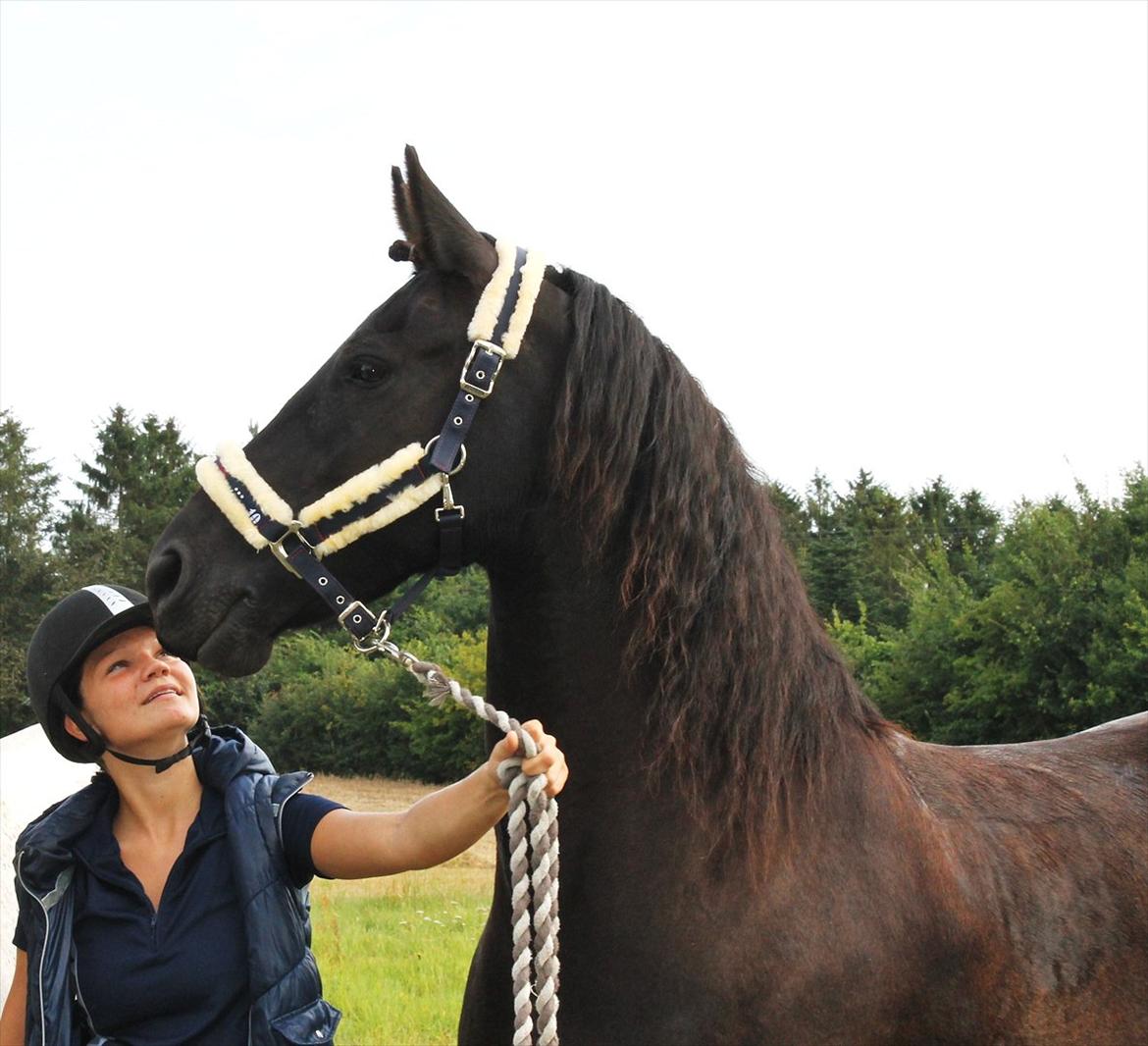 Frieser Linda A billede 17