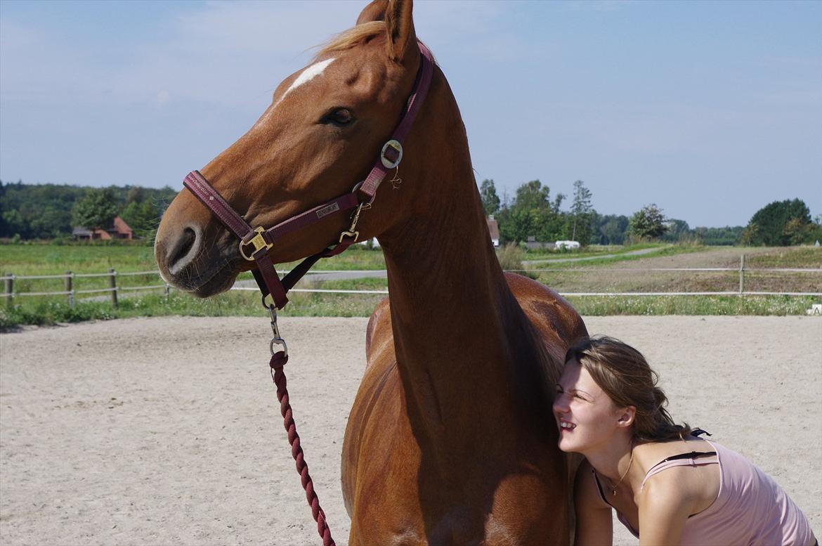 Frederiksborg Majse  - Uh.Uh.Uh JAA! lige der, og så lidt til venstre. TAK billede 13