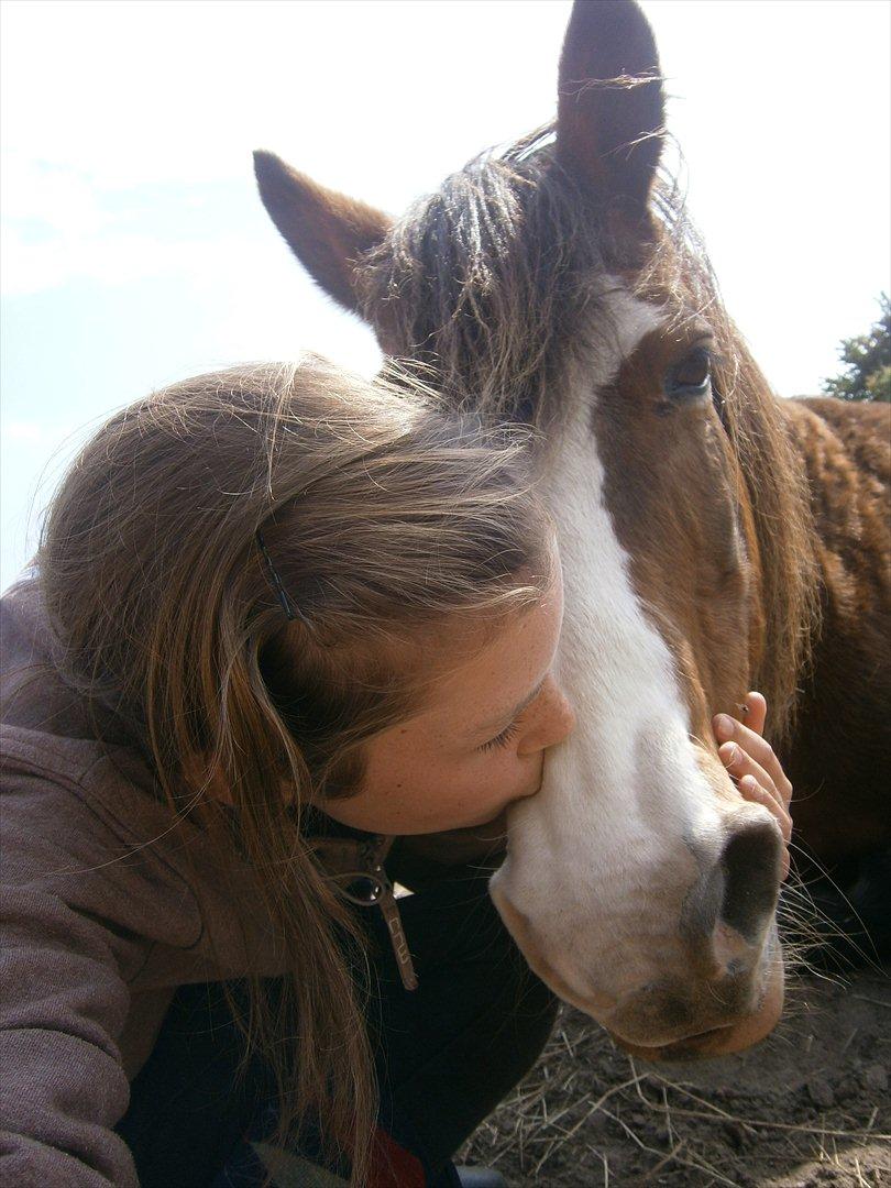 DSP Bibsen (Passer) - You and me forever and always <3 billede 9