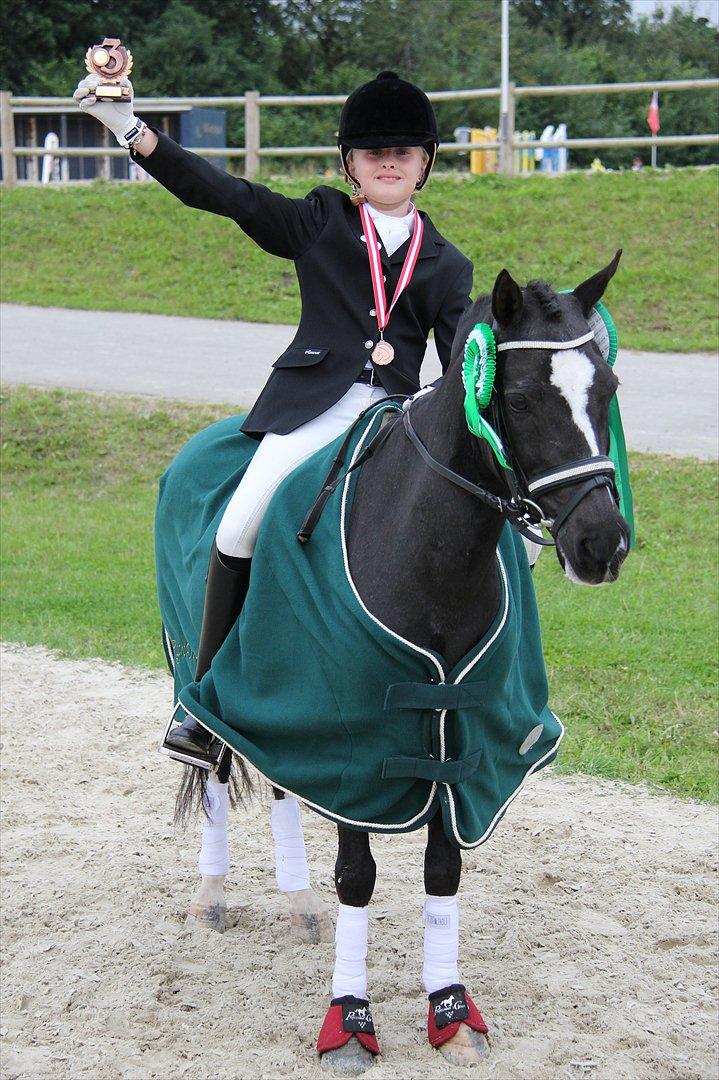 Welsh Pony af Cob-type (sec C) BRONZE MEDALJE VINDER DM 2011 - Har vundet Bronze Medalje
DM 2011 billede 11