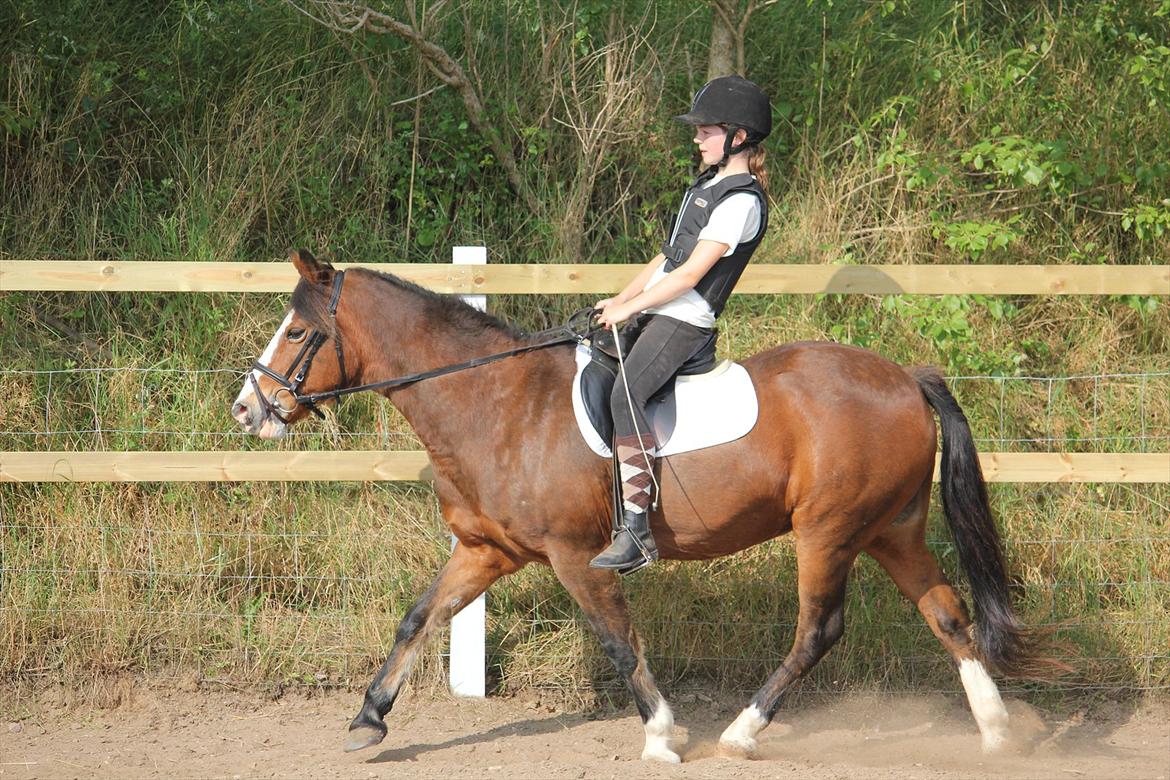 DSP Bibsen (Passer) - Dig og mig til Sommersjov 2011 - 3. plads!  billede 12