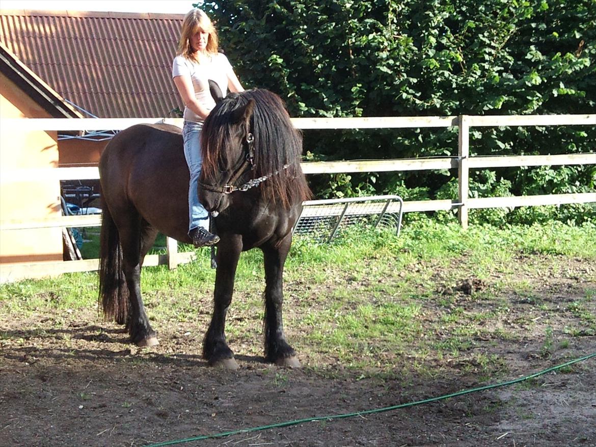 Anden særlig race Amaya #SOLGT# - hmm, hvad laver du der ?? billede 19