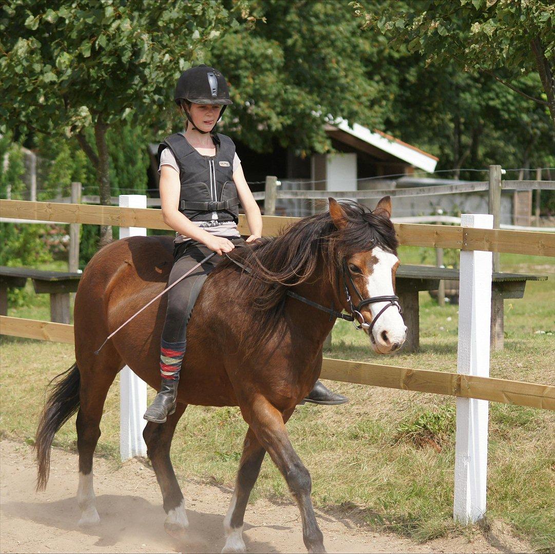 DSP Bibsen (Passer) - Dig og mig på banen ;) billede 8