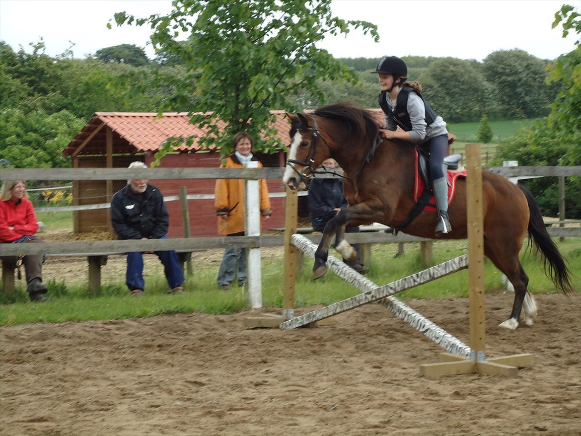 DSP Bibsen (Passer) - Dig og mig <3 billede 6