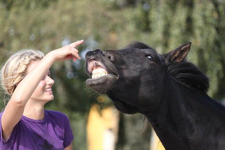 New Forest Banda - Smil!... :D billede 15