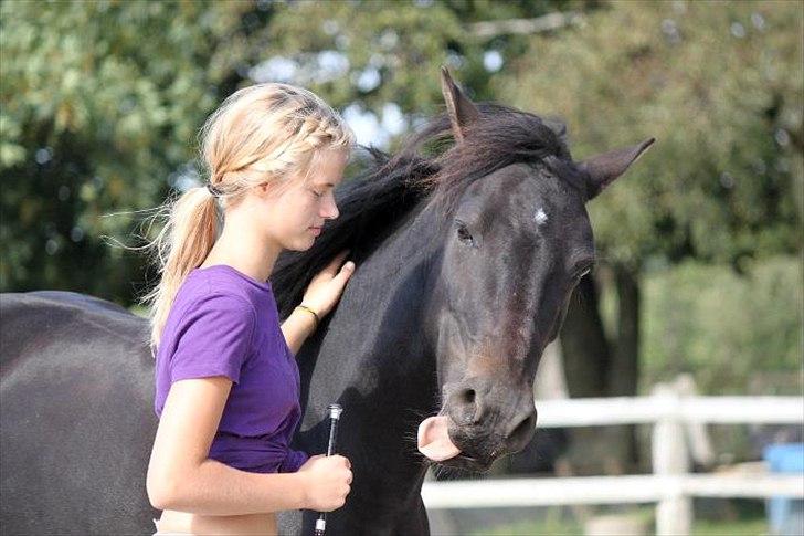 New Forest Banda - Charmetrold!:)
 billede 16