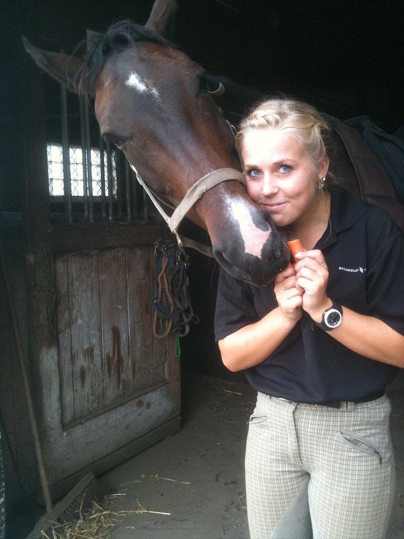 Oldenborg Gunnihus Nino billede 12