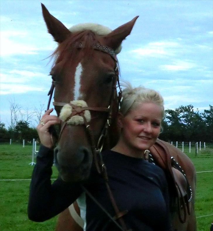 Dansk Varmblod Selina Guinnes  - Mig og verdens bedste hest <3 billede 2