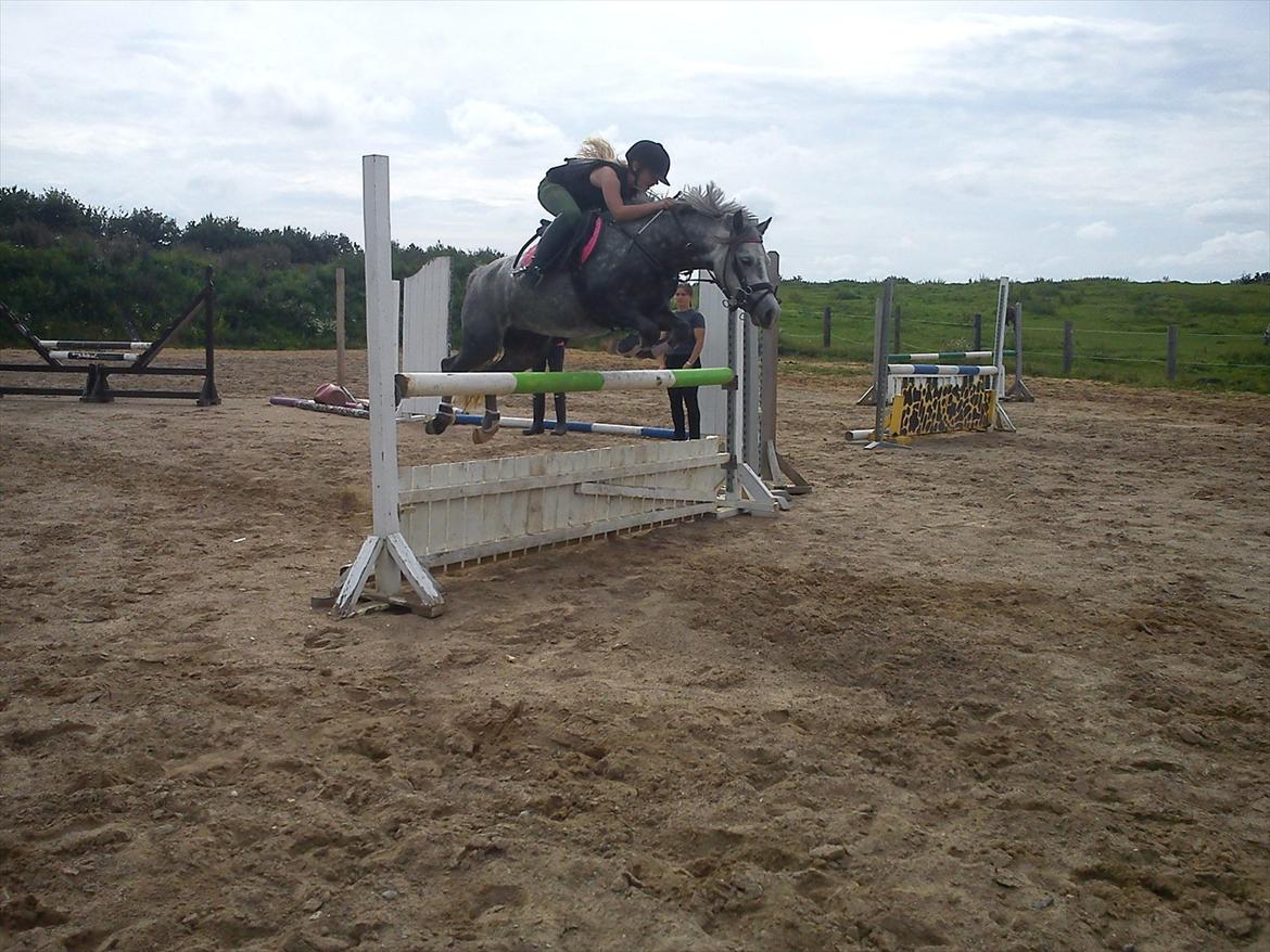 Welsh Pony (sec B) Spinelly (Solgt) - Mig og Spinelly springer 105 cm  !!! :D
det er vores rekord <3 billede 4