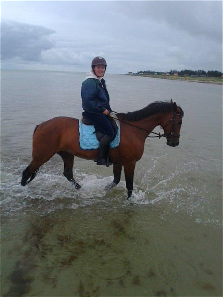 Traver Komet Lund billede 11