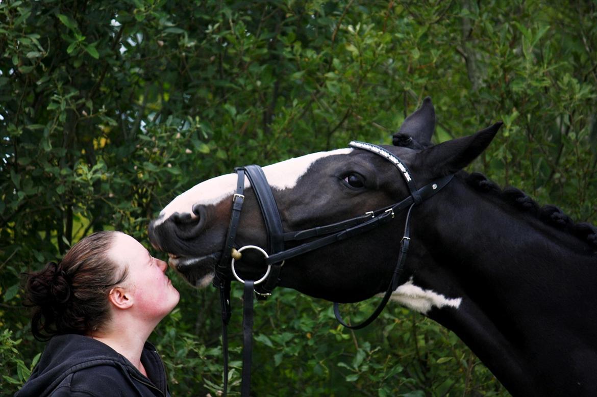 Anden særlig race Ragnarock Elmely billede 1