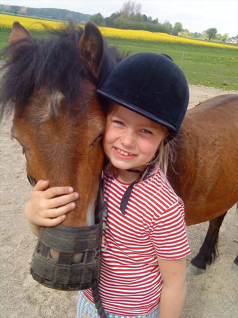 Dartmoor Viktor Dunemose billede 4