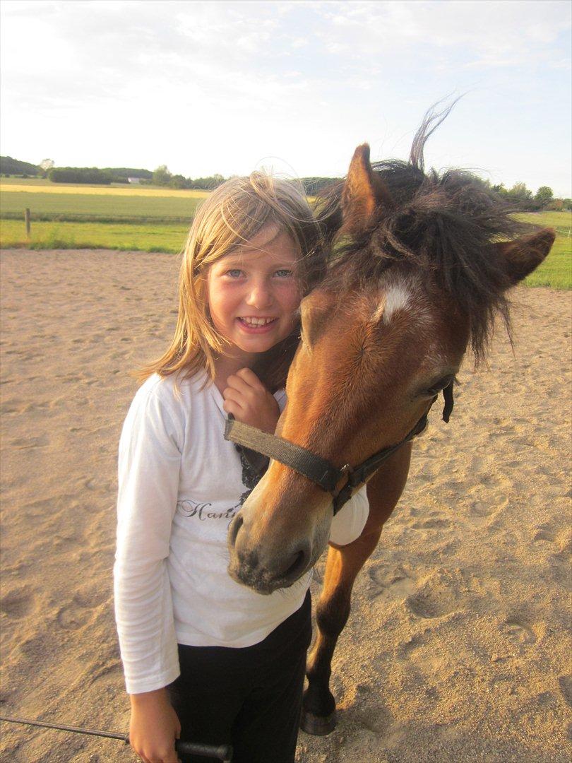 Dartmoor Viktor Dunemose billede 8