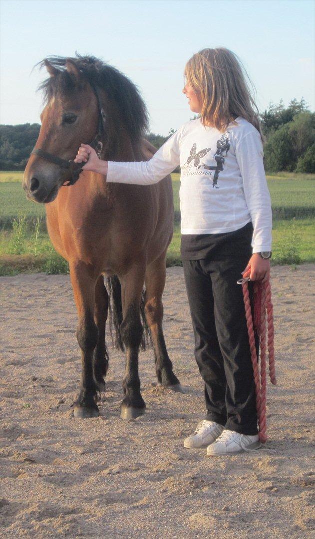 Dartmoor Viktor Dunemose billede 9