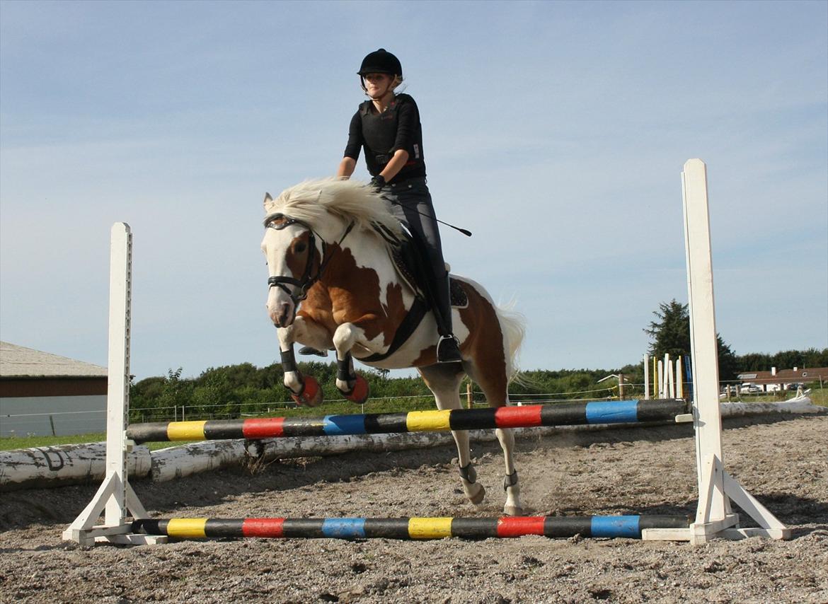 Pinto Flicka - - [Den-23-08-2011] - Lad mig gøre det klart der ingen dikkedarer :-) <3 billede 17