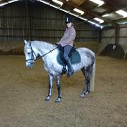 DSP Møllegårdens Caponi