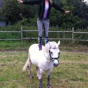 Anden særlig race Bandit "den elskede" :D <3