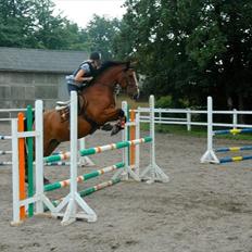 Anden særlig race Jack