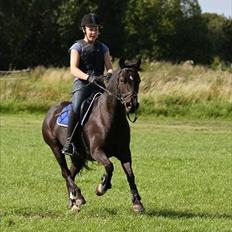 Anden særlig race Emil *SØSTERS*