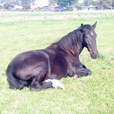 Oldenborg Odin