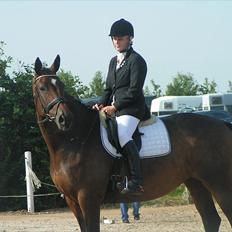 Trakehner Haxholm's Hella*Solgt*