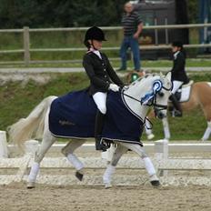 Welsh Pony (sec B) Black Beauty A-pony SOLGT <3 :,(