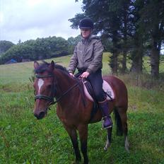 Anden særlig race lotte