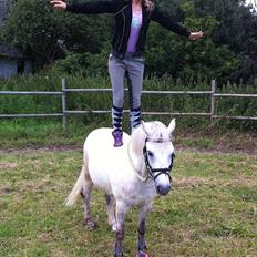 Anden særlig race Bandit "den elskede" :D <3