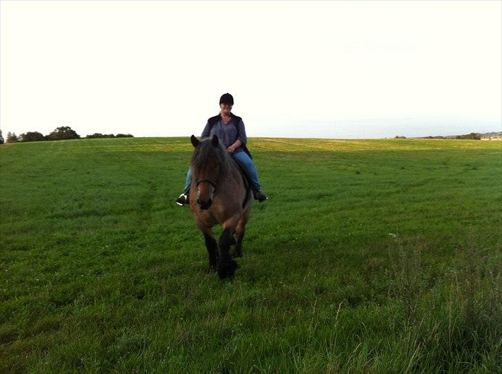 Belgier Odin(Nils Tjer-Rildmoseg) - August 2011 billede 10