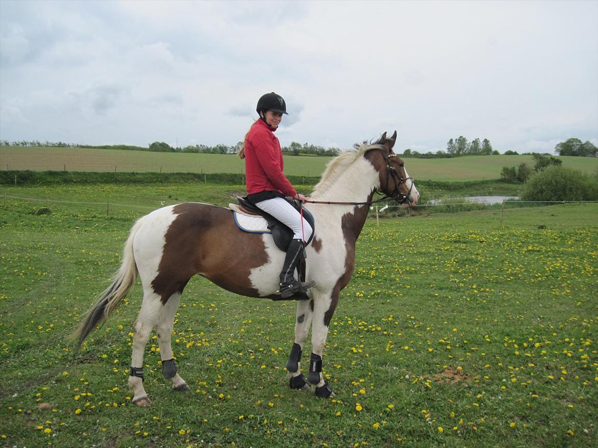Anden særlig race Bakkegårdens Monique billede 7