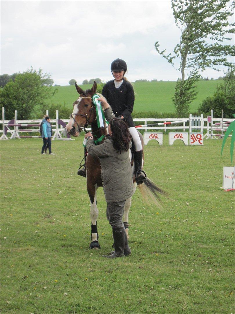 Anden særlig race Bakkegårdens Monique billede 9